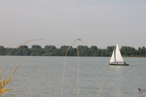 IMG_4799